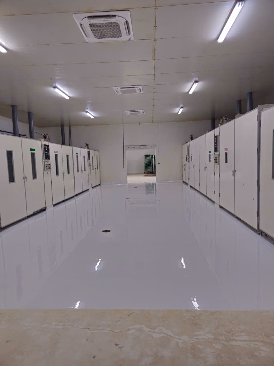 C&E Poussin : Salle d'incubation au sol époxy blanc brillant