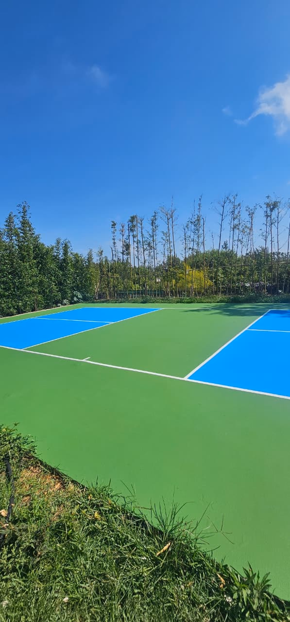Court de tennis en résine acrylique vert et bleu entouré d'arbres