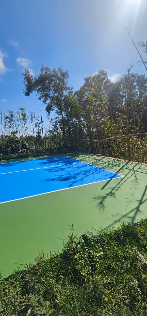 Court acrylique bleu et vert à l'ombre des arbres