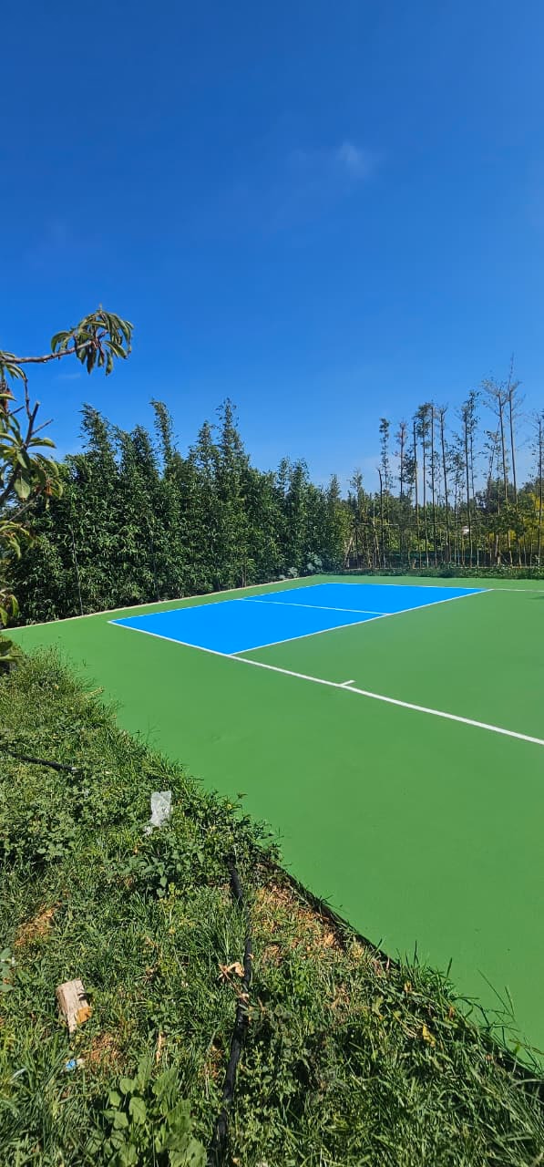 Court de tennis acrylique vert et bleu aux lignes blanches